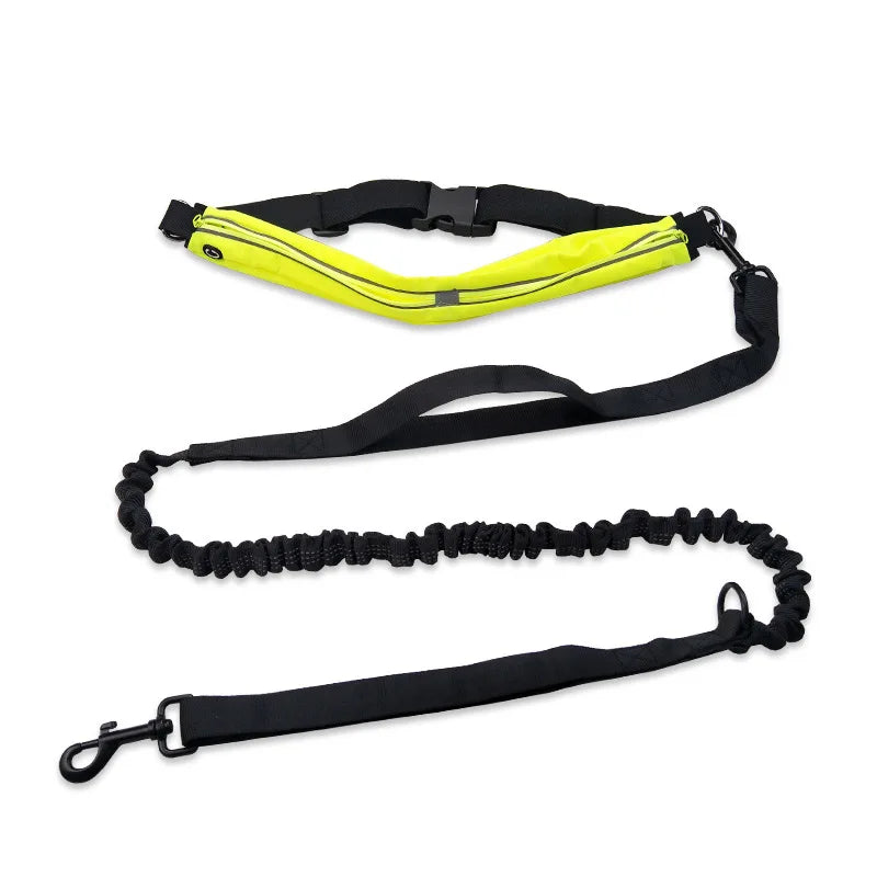 Reflective Pet dog leash Sports running double traction rope Waterproof Waist bag dog jogging hand free walking Elastic belt