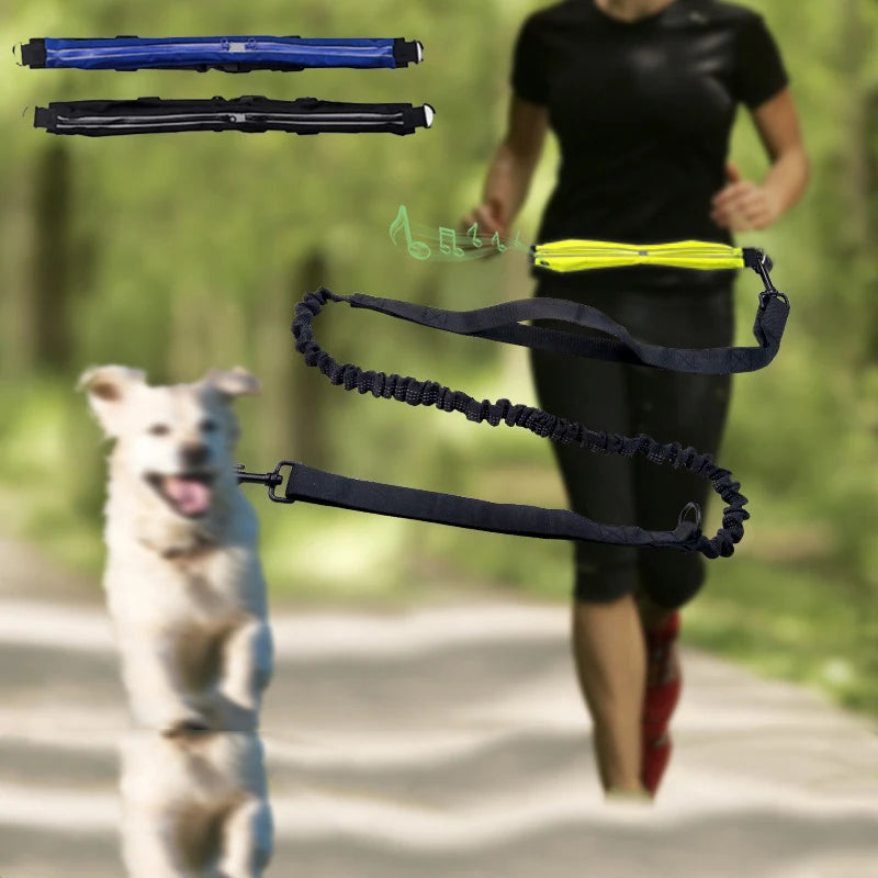 Reflective Pet dog leash Sports running double traction rope Waterproof Waist bag dog jogging hand free walking Elastic belt