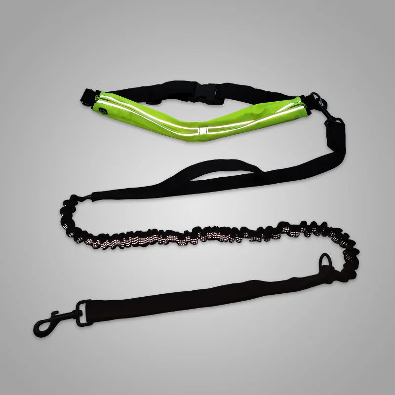 Reflective Pet dog leash Sports running double traction rope Waterproof Waist bag dog jogging hand free walking Elastic belt