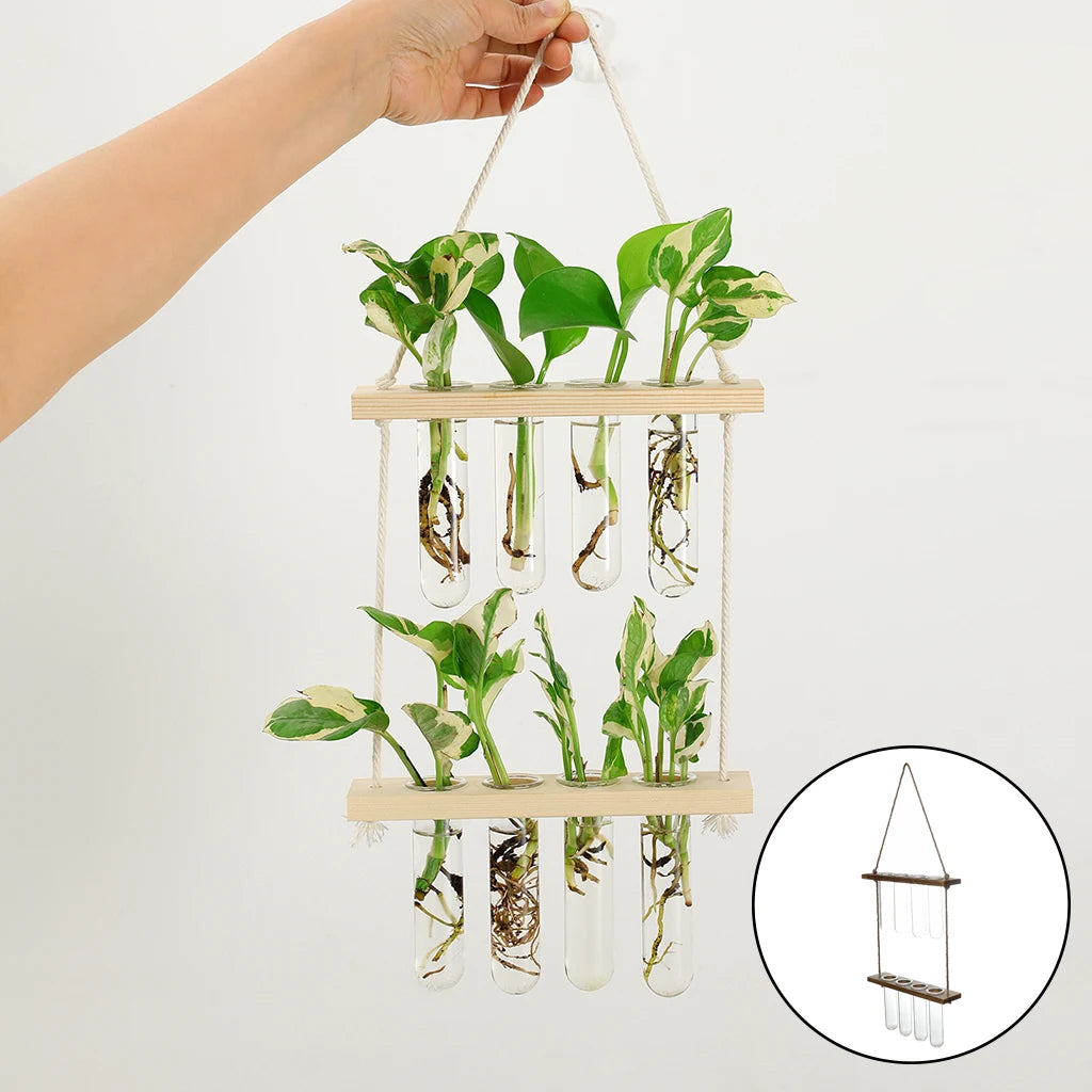 Wall Hanging Terrarium Flower Glass Planter Propagator for Plant Garden