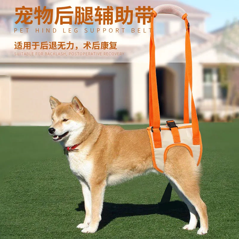 New Product Hind Leg Auxiliary Belt, Elderly Dog, Disabled Dog Rehabilitation Exercise Belt, Upstairs Assistance Belt