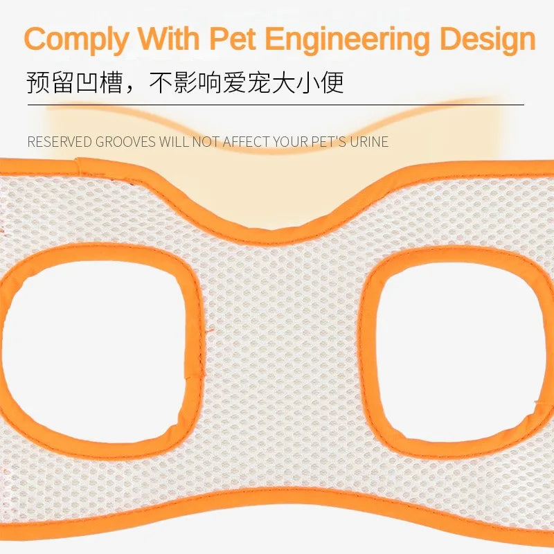 New Product Hind Leg Auxiliary Belt, Elderly Dog, Disabled Dog Rehabilitation Exercise Belt, Upstairs Assistance Belt